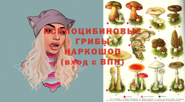 трава Армянск