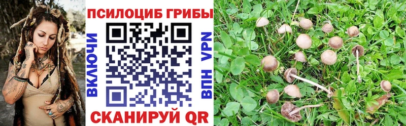 Галлюциногенные грибы ЛСД  mega сайт  Навашино 