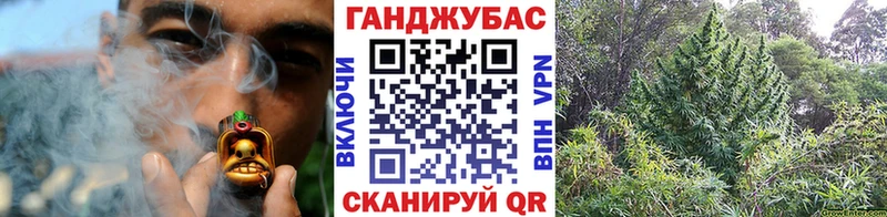 Конопля план  дарнет шоп  Навашино 